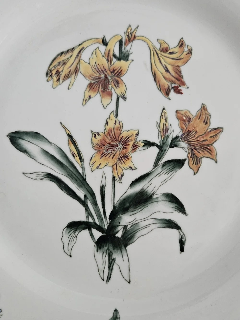 Vintage Oriental Accents Decorative Plates- Set Of 3